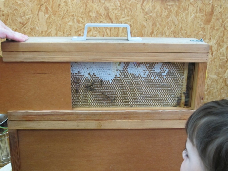 apicultrice 13 20160528 1712759519